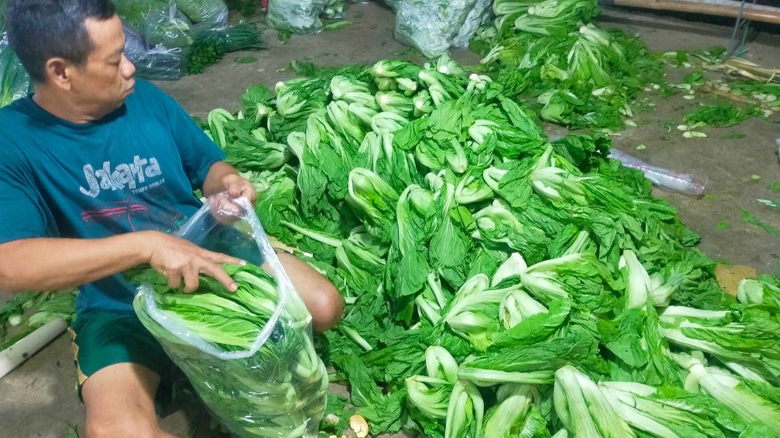 Raja Sayur Di Pasar Kampung Gusti Jual Sawi Pahit Untuk Kesehatan