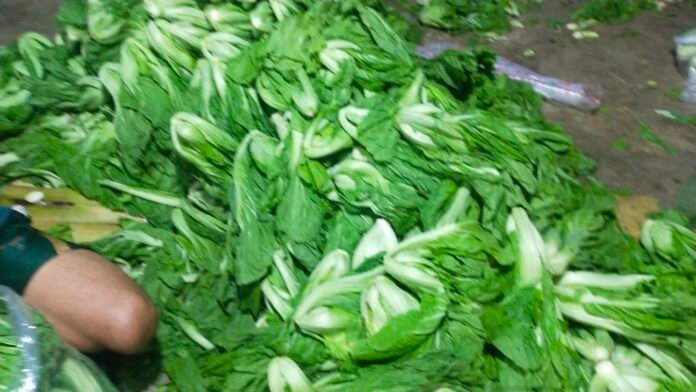 Raja Sayur Di Pasar Kampung Gusti Jual Sawi Pahit Untuk Kesehatan