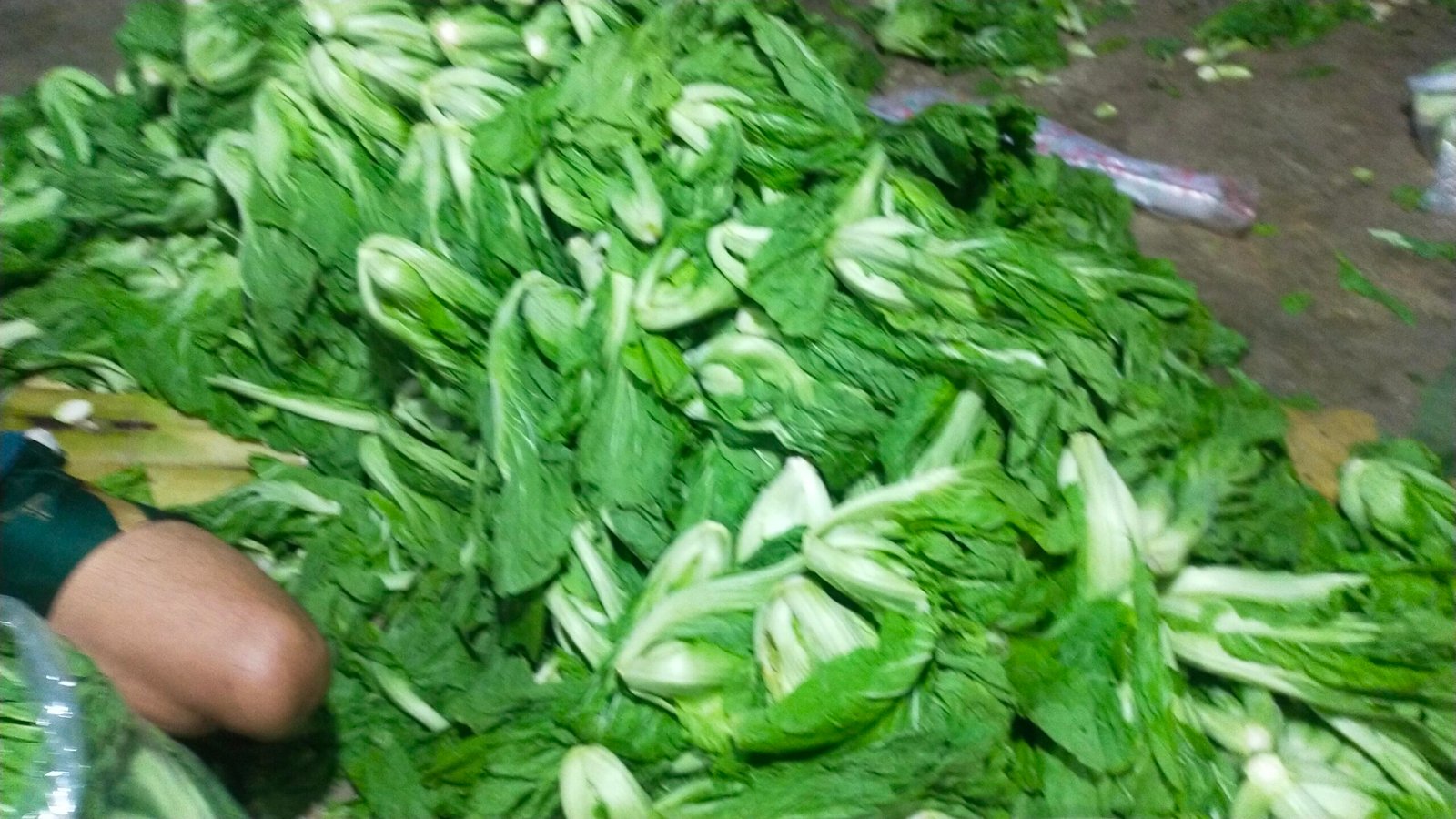 Raja Sayur Di Pasar Kampung Gusti Jual Sawi Pahit Untuk Kesehatan