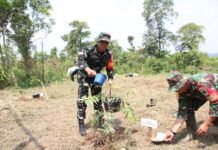 Kodim 0621 Kabupaten Bogor Sukseskan TMMD ke-128 Dengan Penanaman 1000 Pohon