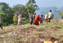 Perkuat Ketahanan Pangan Nasional, Satgas TMMD ke-128 Kodim 0621/Kab. Bogor Gelar Penanaman Jagung dan Pohon Keras di Desa Banyuasih
